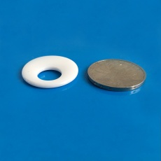 Ceramic sealing ring